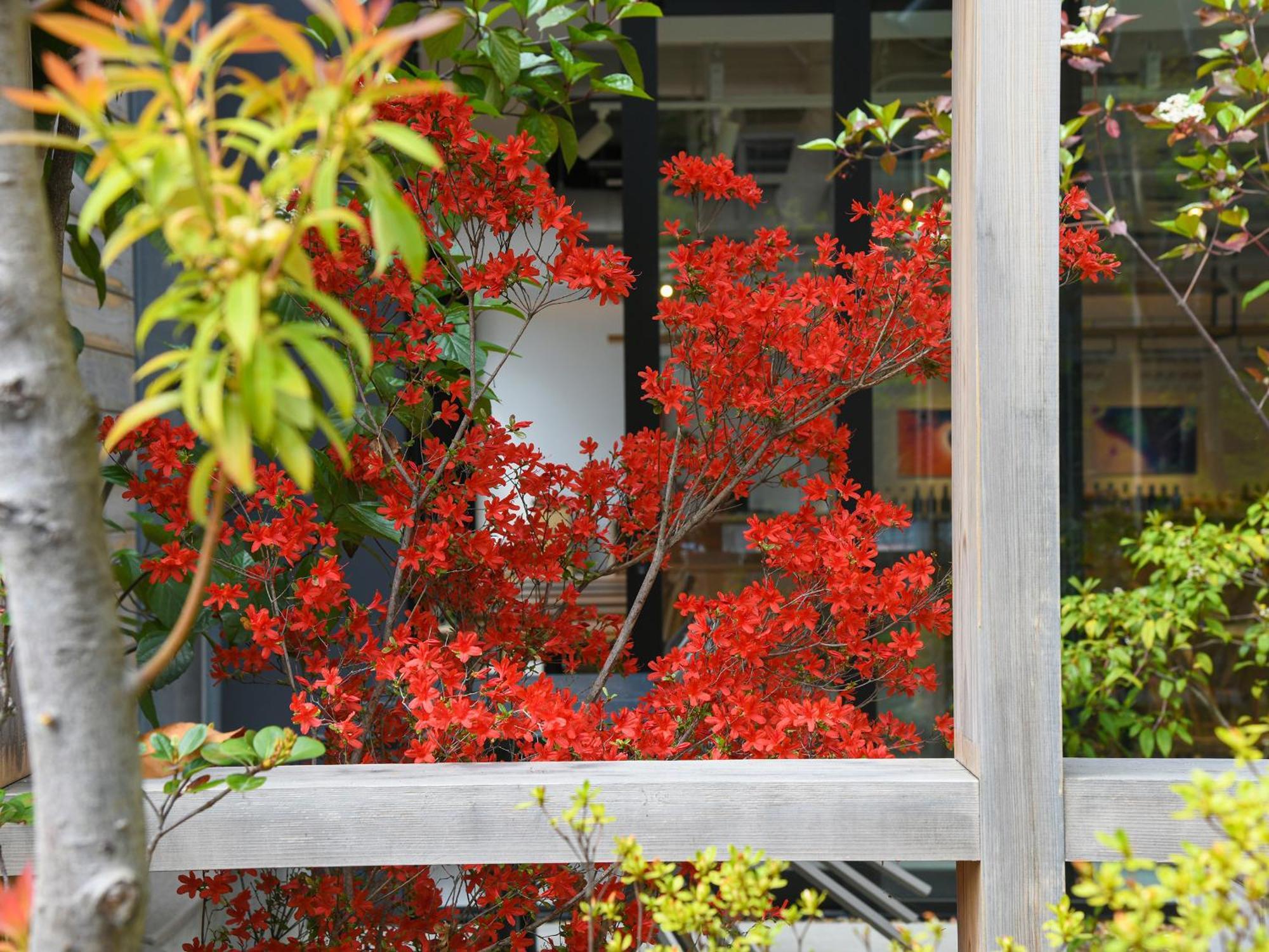 Ref Kyoto Hachijoguchi By Vessel Hotels Exterior photo